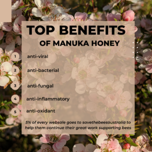 Top Benefits of Manuka Honey Manuka honey dripping off spoon